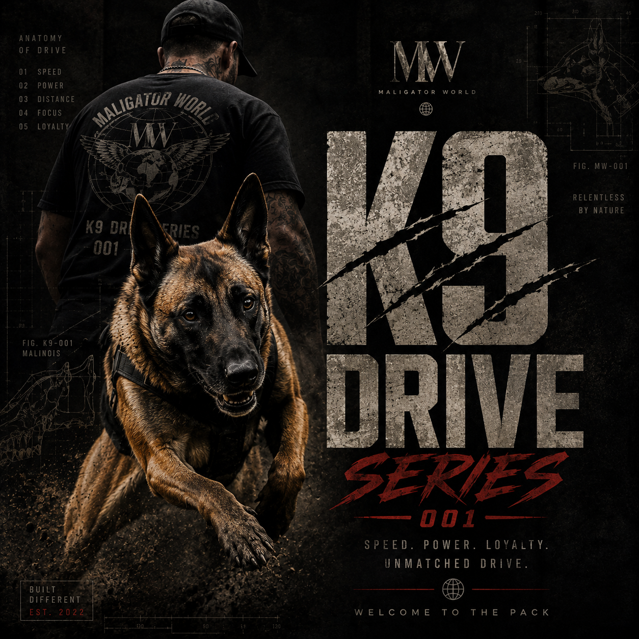 K9 Drive