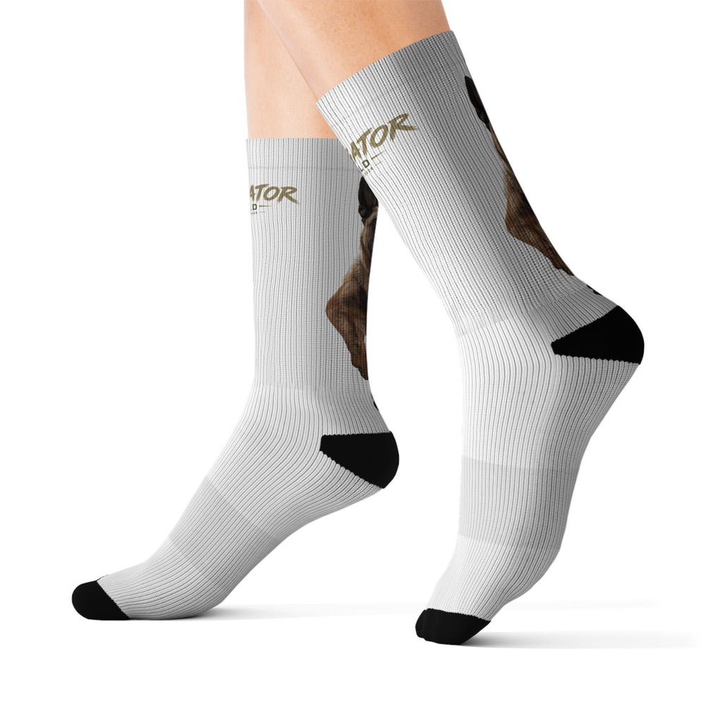 Belgian Malinois Socks