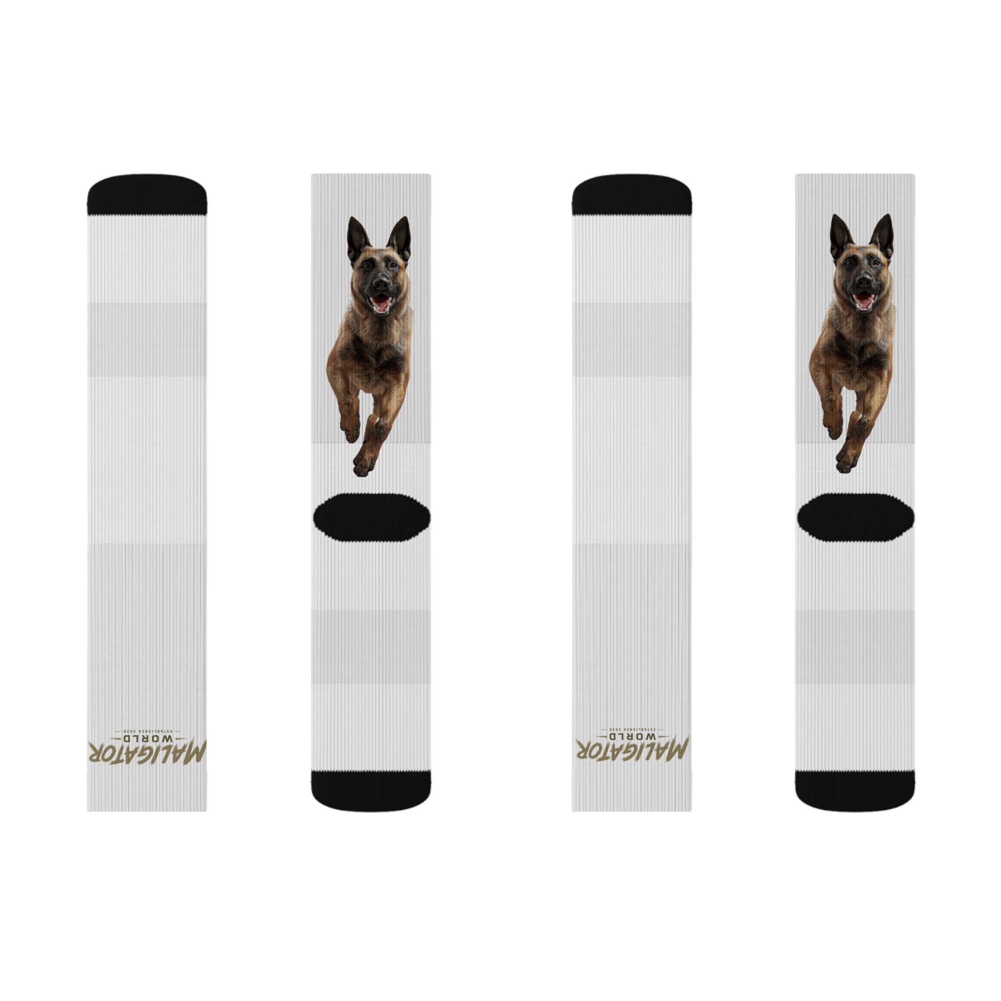 Belgian Malinois Socks