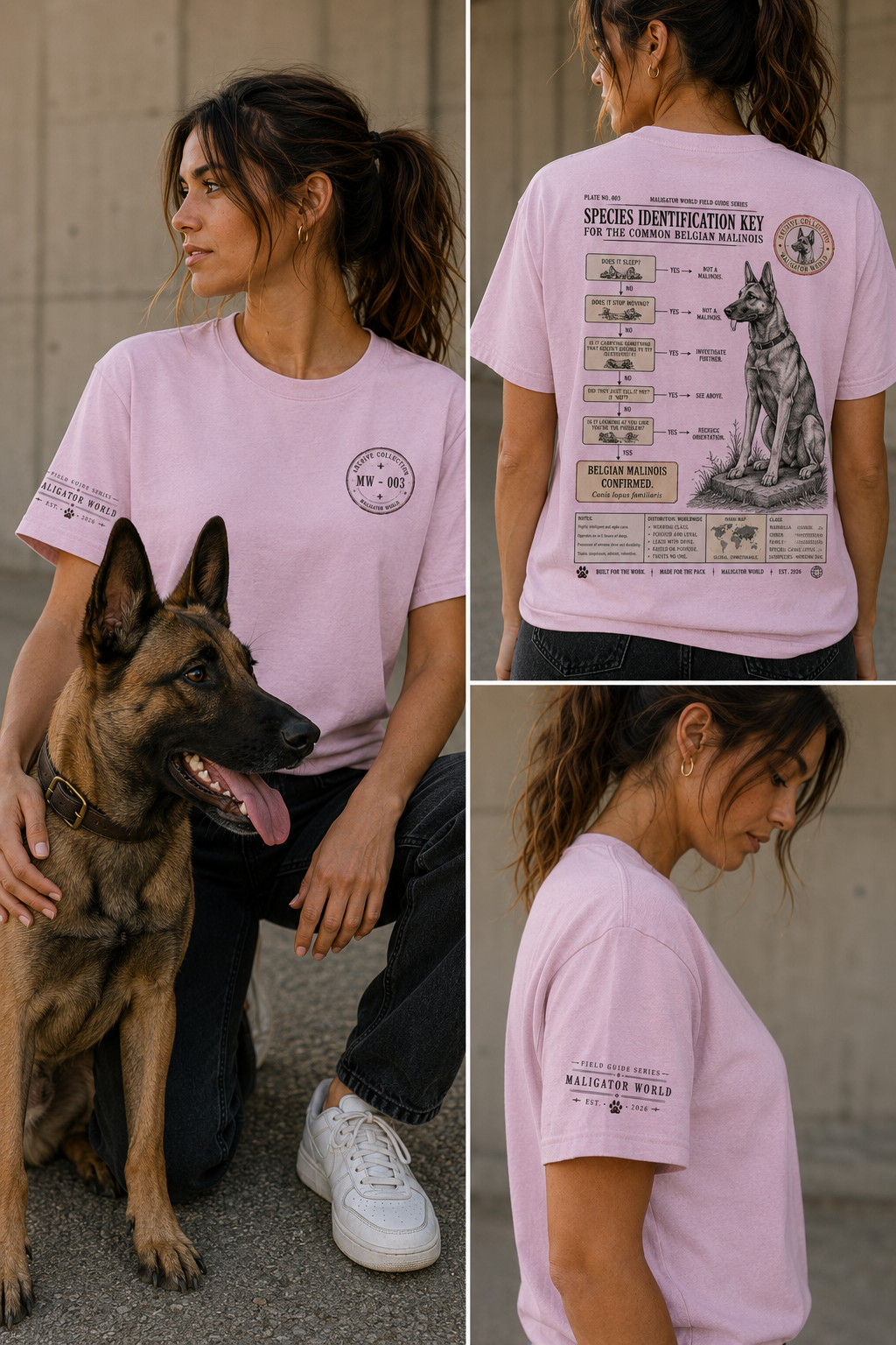 Archive Collection // Species Identification Key