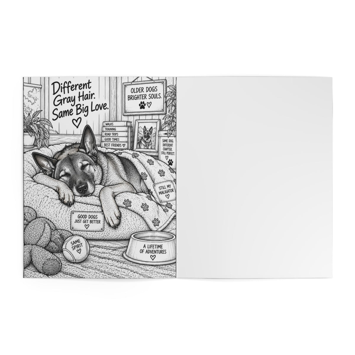 Malinois Coloring Book