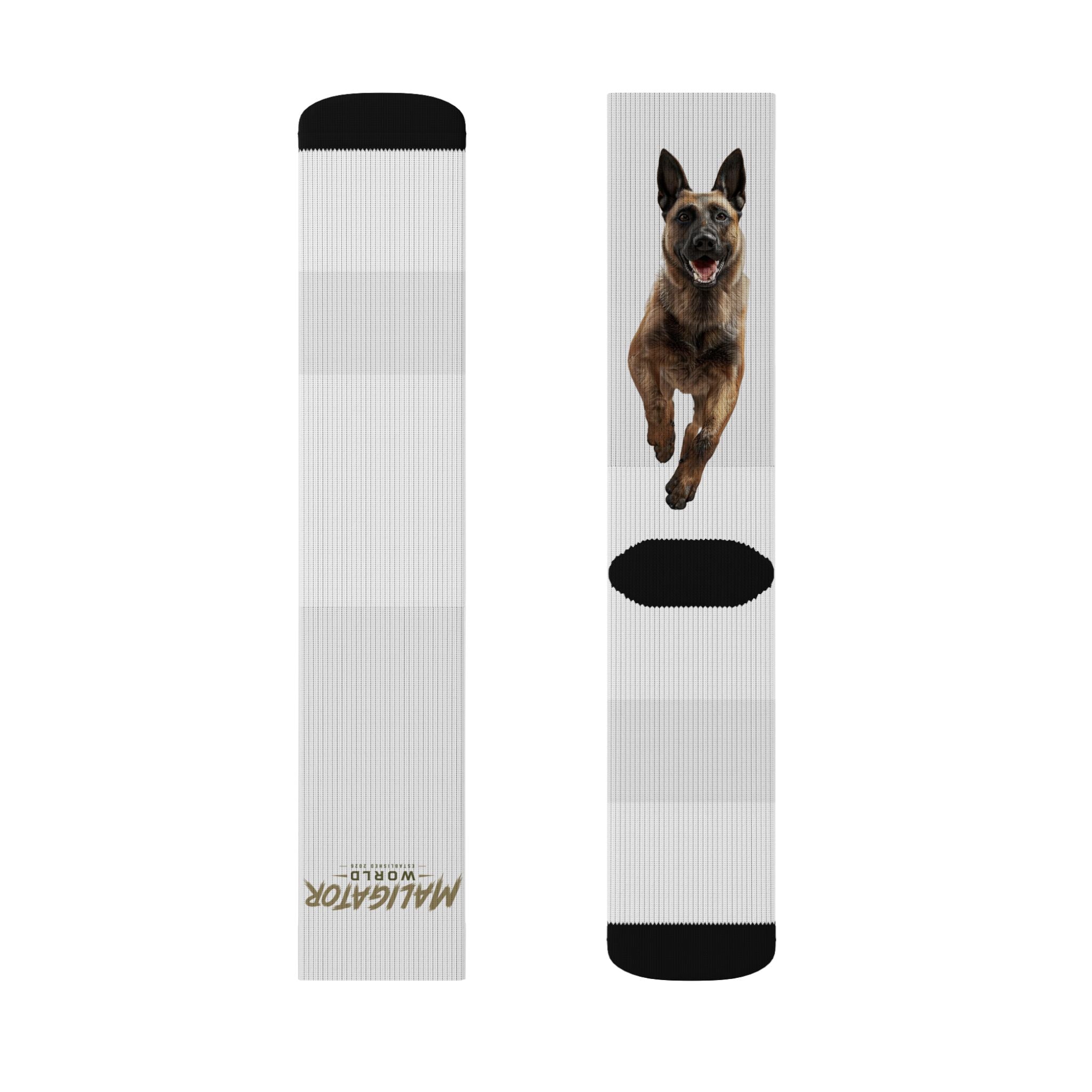 Belgian Malinois Socks