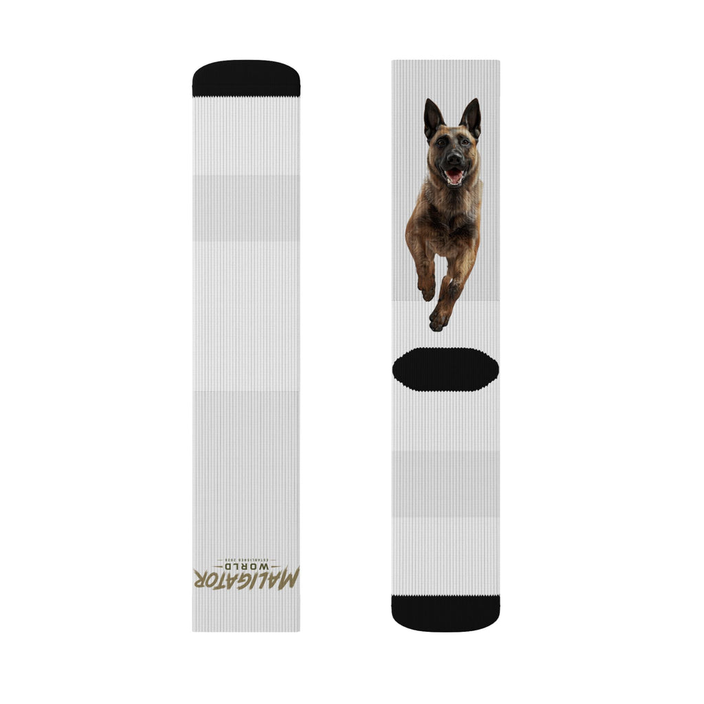 Belgian Malinois Socks